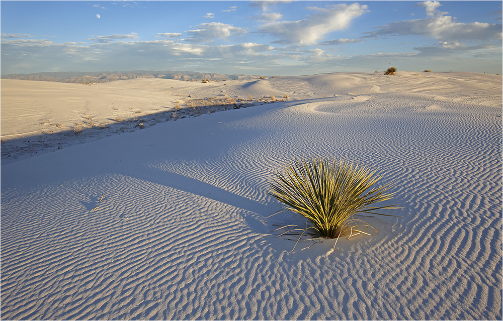 White Sands