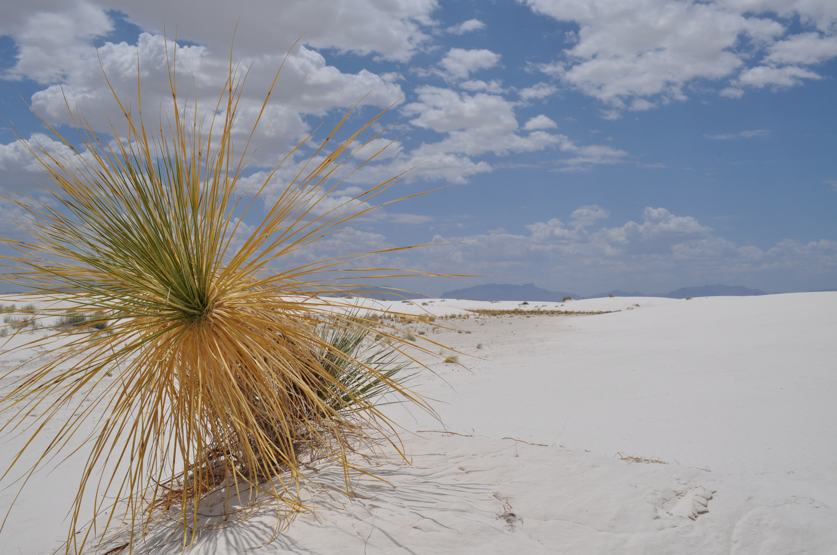 White Sands 1