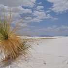 White Sands 1