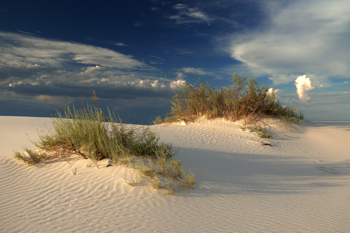 White Sands 1