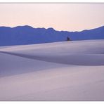 White Sands 1