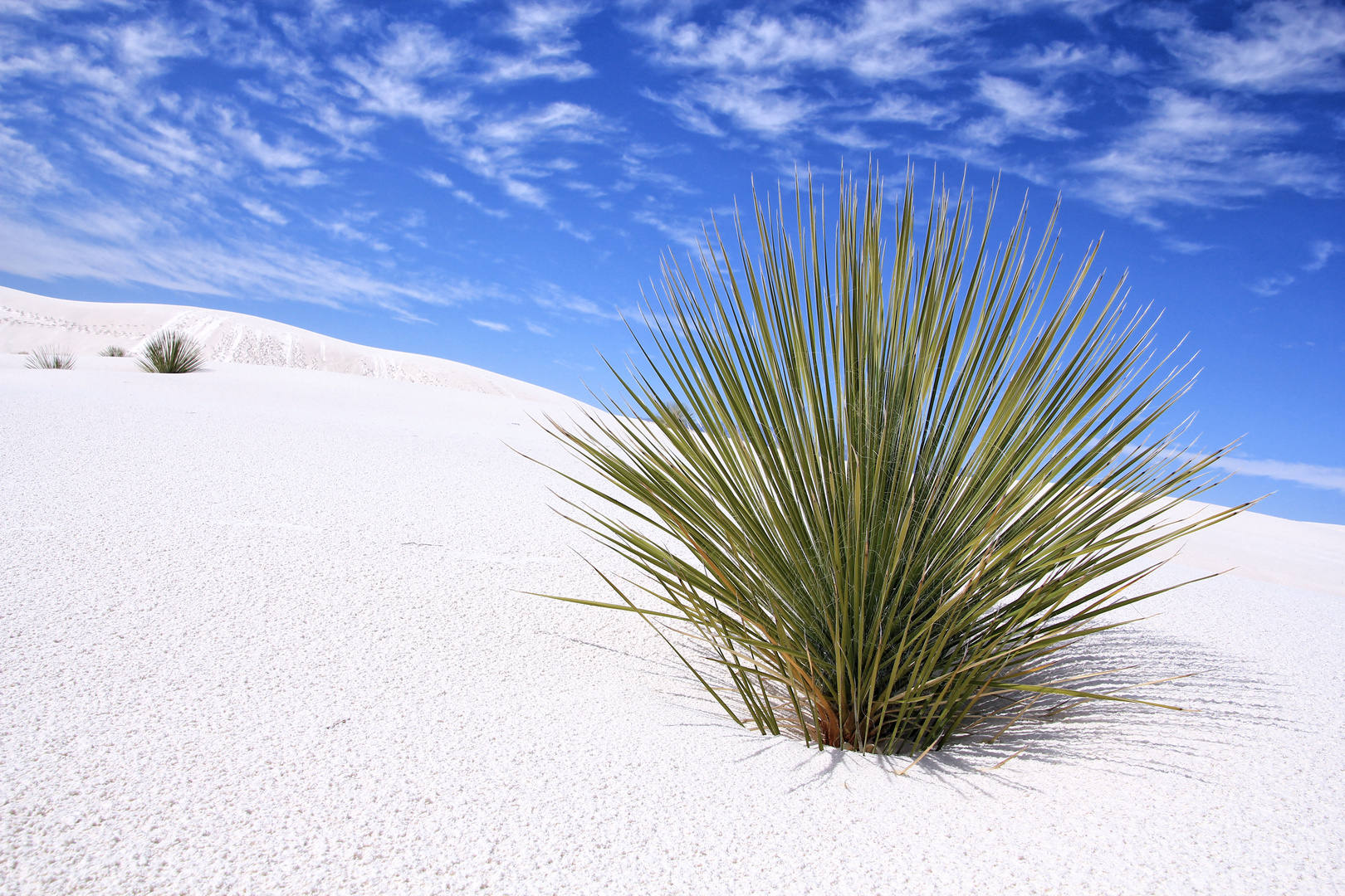 White Sands :-)