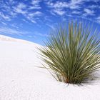 White Sands :-)