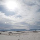 White Sands