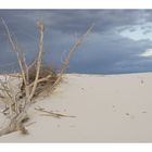 White sands 2