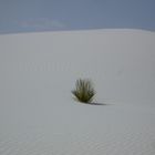 White Sands 2