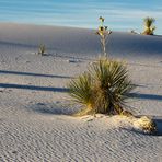 White Sands (2)