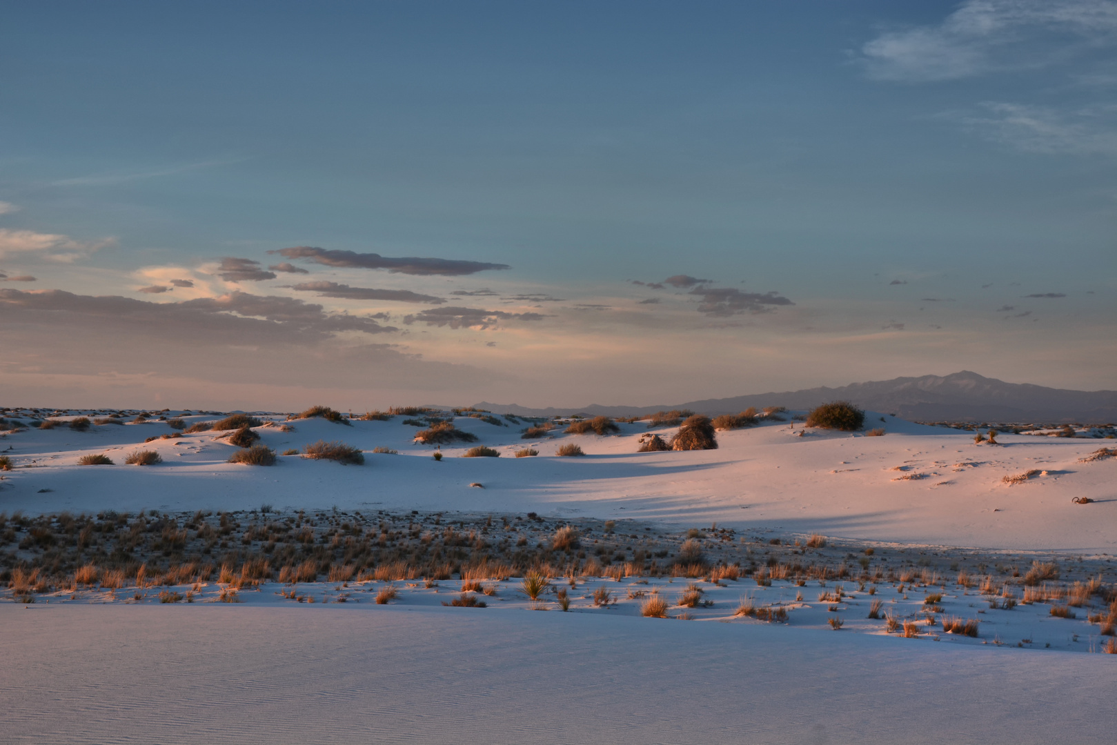 white sands 2