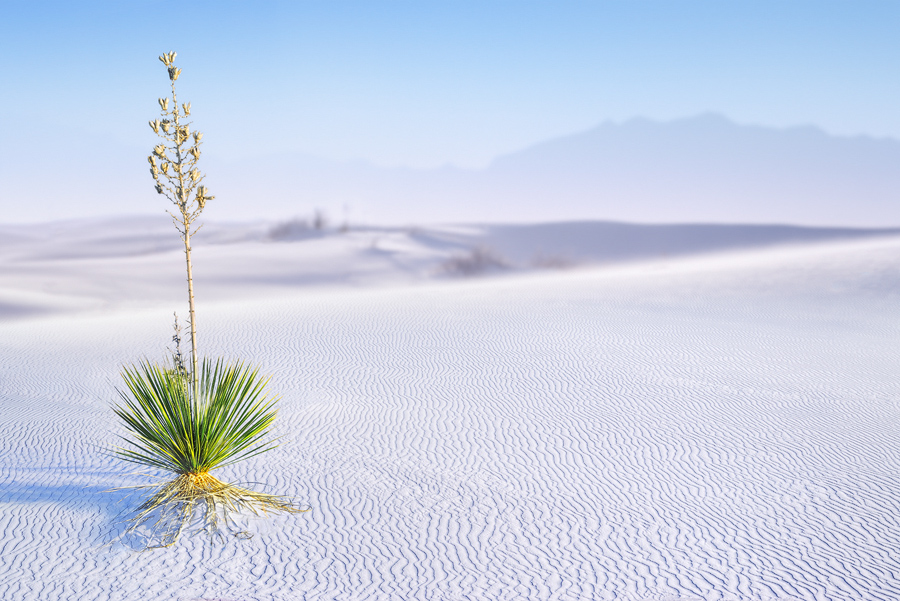 White Sands