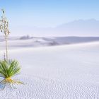 White Sands