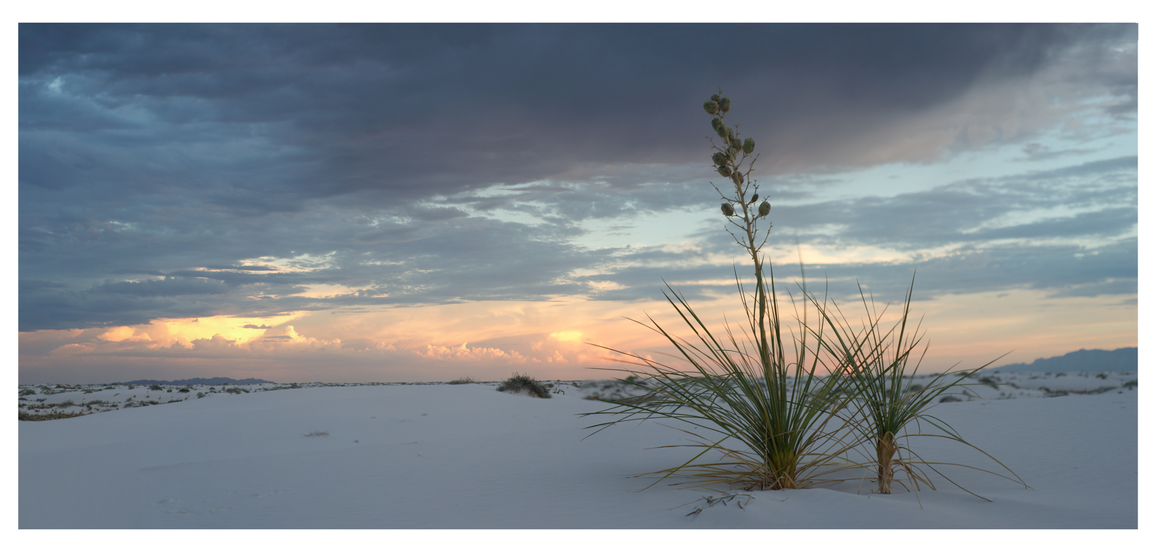 White sands