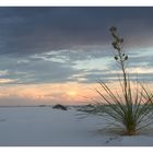 White sands