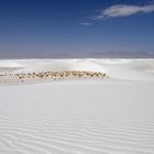 White Sands