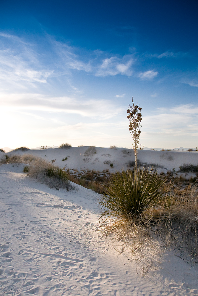 White Sands