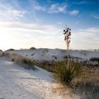 White Sands