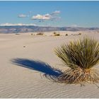 White Sands