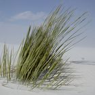 White Sands 3