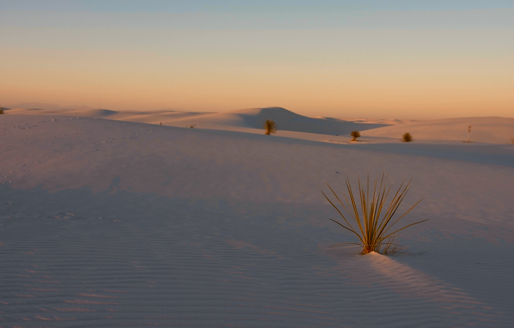 White Sands