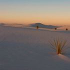 White Sands