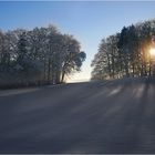 white sands