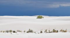 White Sands 