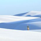 White Sands