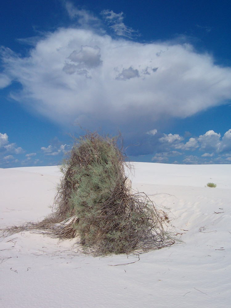 White Sands