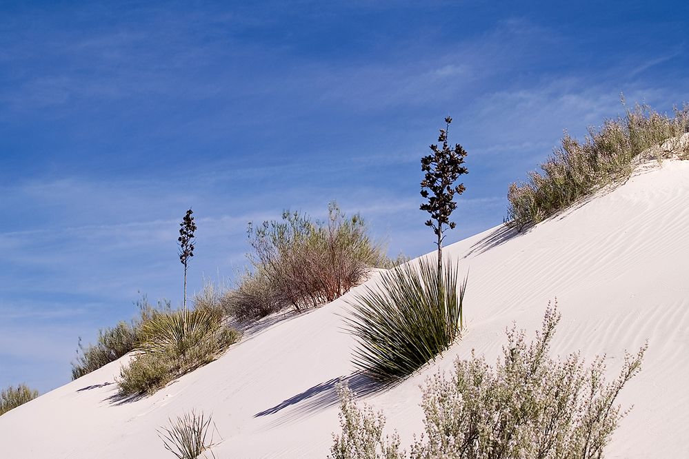 White Sands