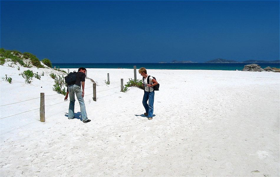 white sands