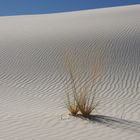 White Sands