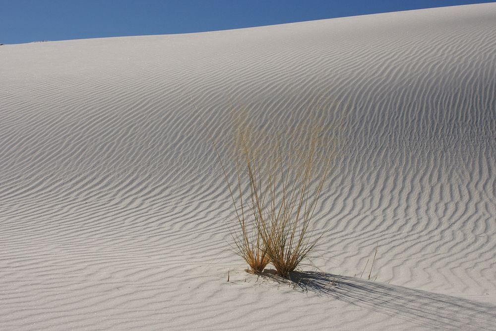 White Sands