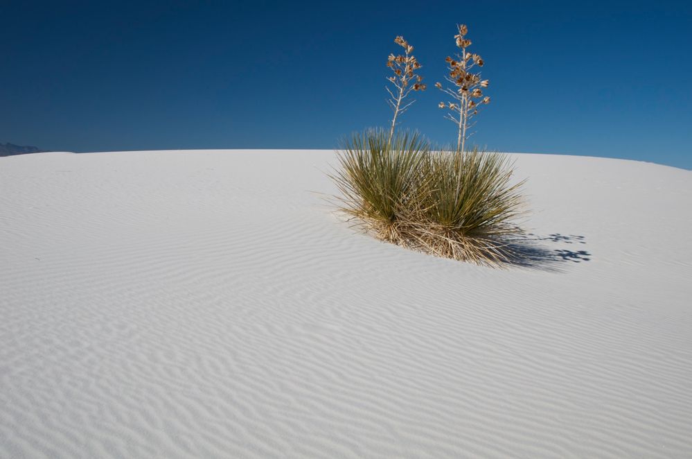 White Sands von BEWI123 