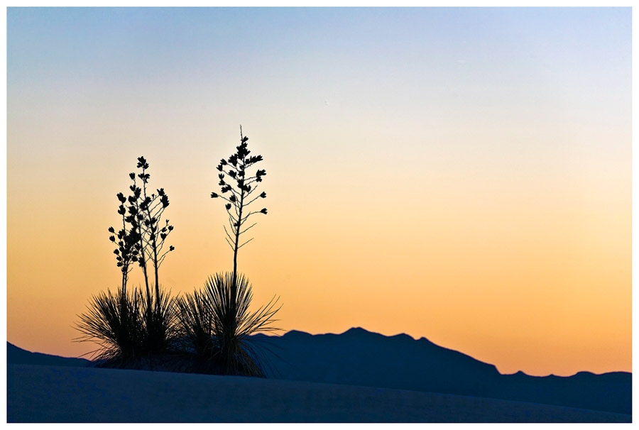 White SAnds