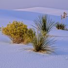 White Sands