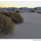 White Sands