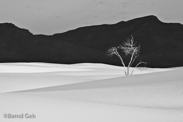 White Sands