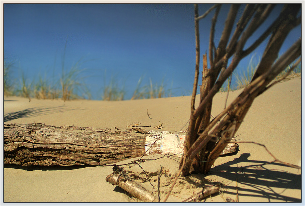 White Sands...