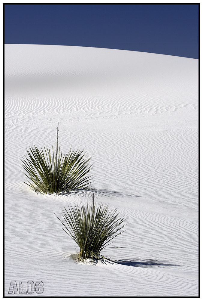 White Sands