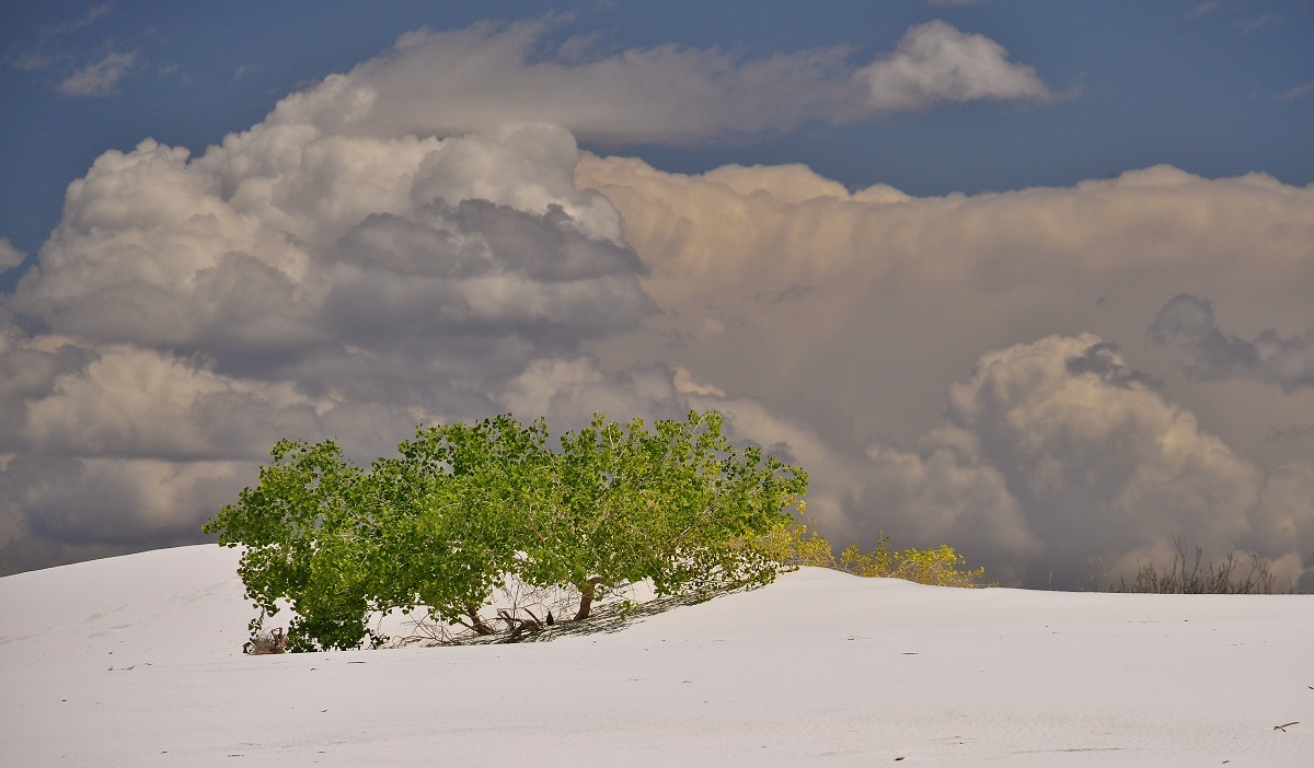 White Sands