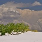 White Sands