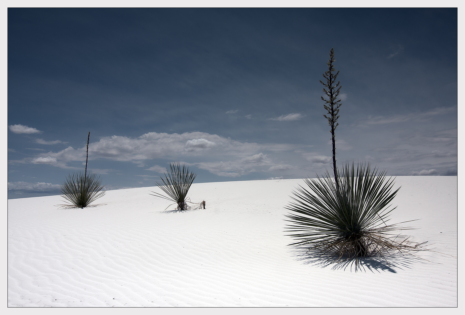 White Sands