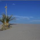 White Sands