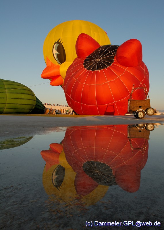 White Sands Balloon Festival 2008