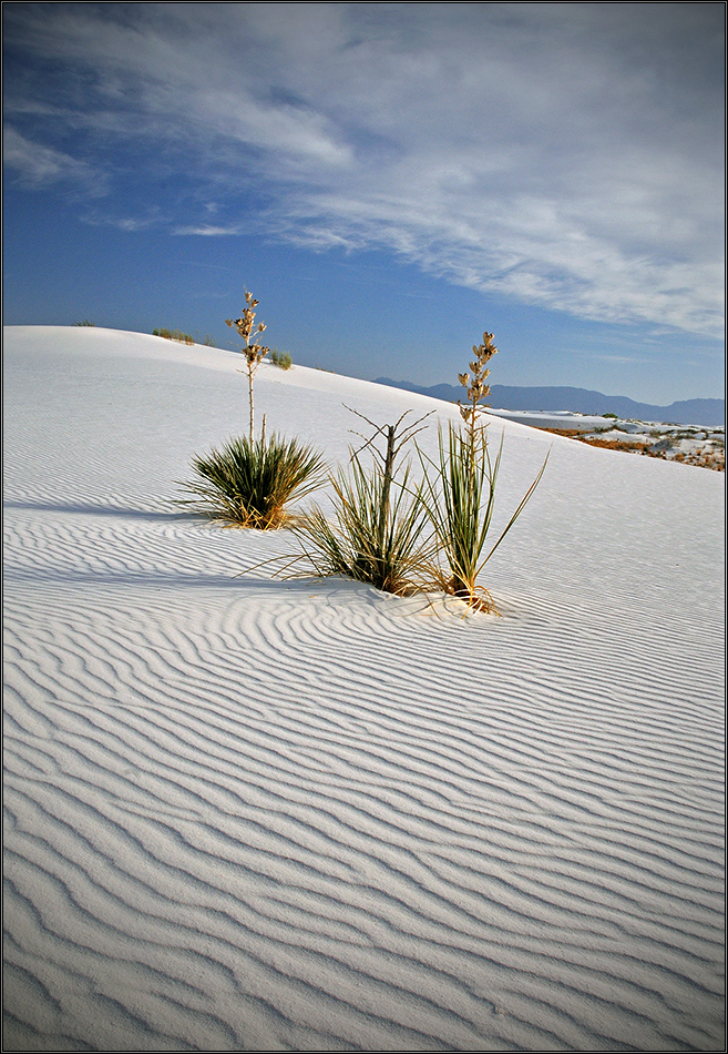 White Sands