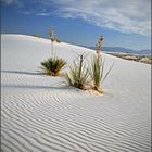 White Sands