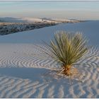 White Sands