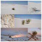 white sands