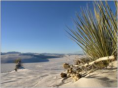 White Sands Dunes