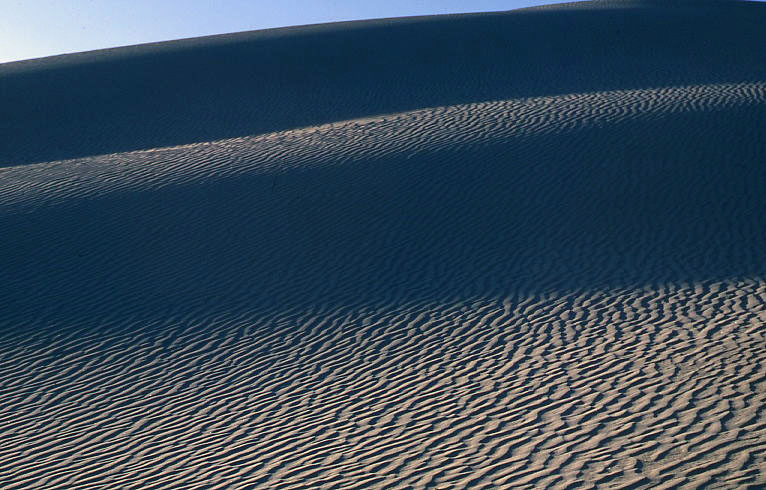 white sands