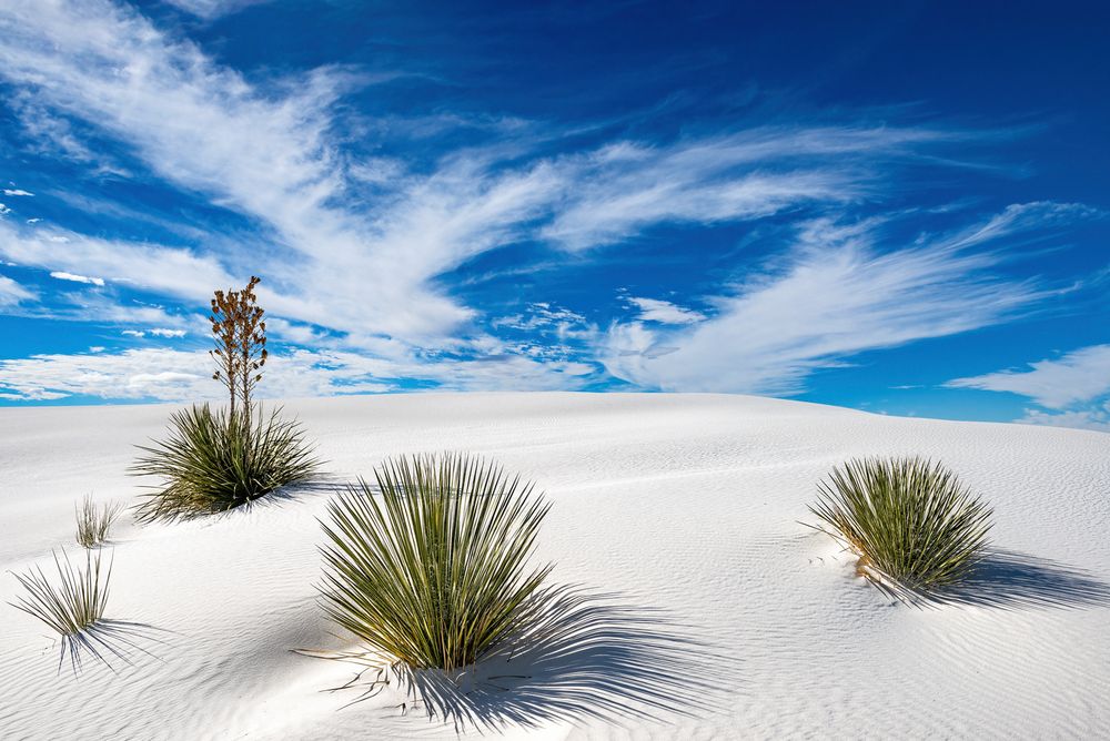 White Sands